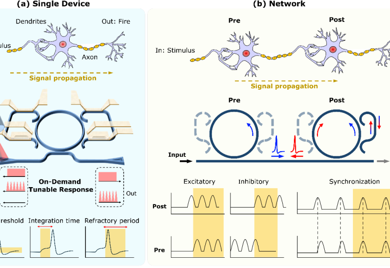 Programmable directional photonic spiking neuron based on a non-Hermitian silicon microresonator